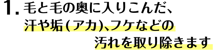 1.毛と毛の奥に入り込んだ、汗や垢（アカ）、フケなどの汚れを取り除きます